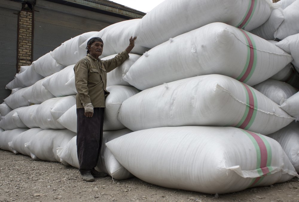 Photograph by shabnam maleki