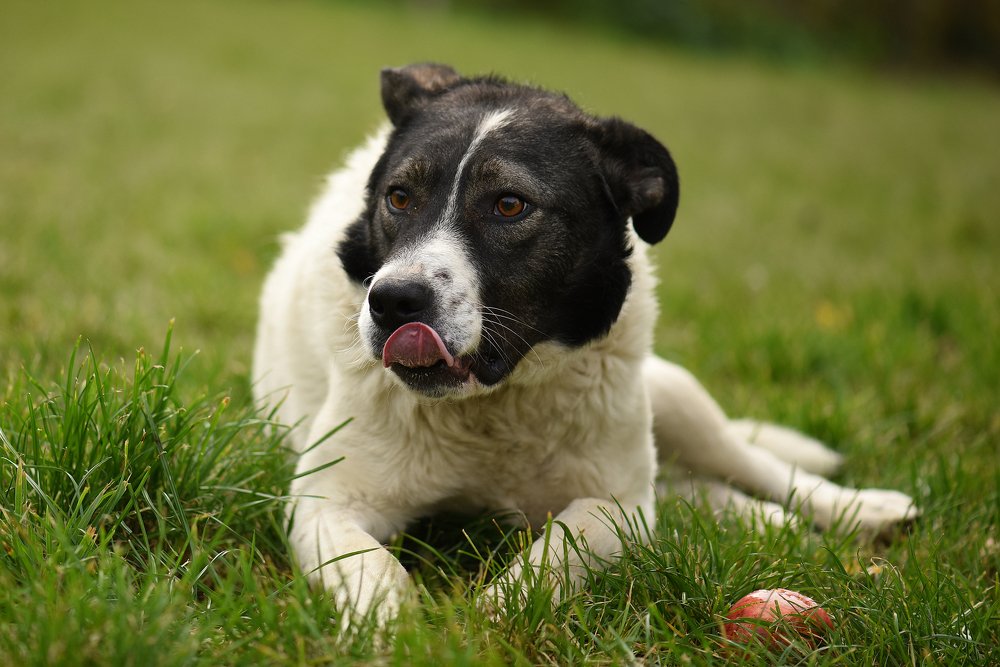 Photograph by Людмила Кузьменко