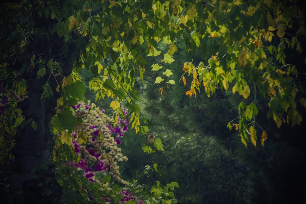 Photograph by Seval Danisman