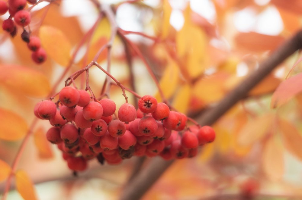 Photograph by Gabriel Wolf