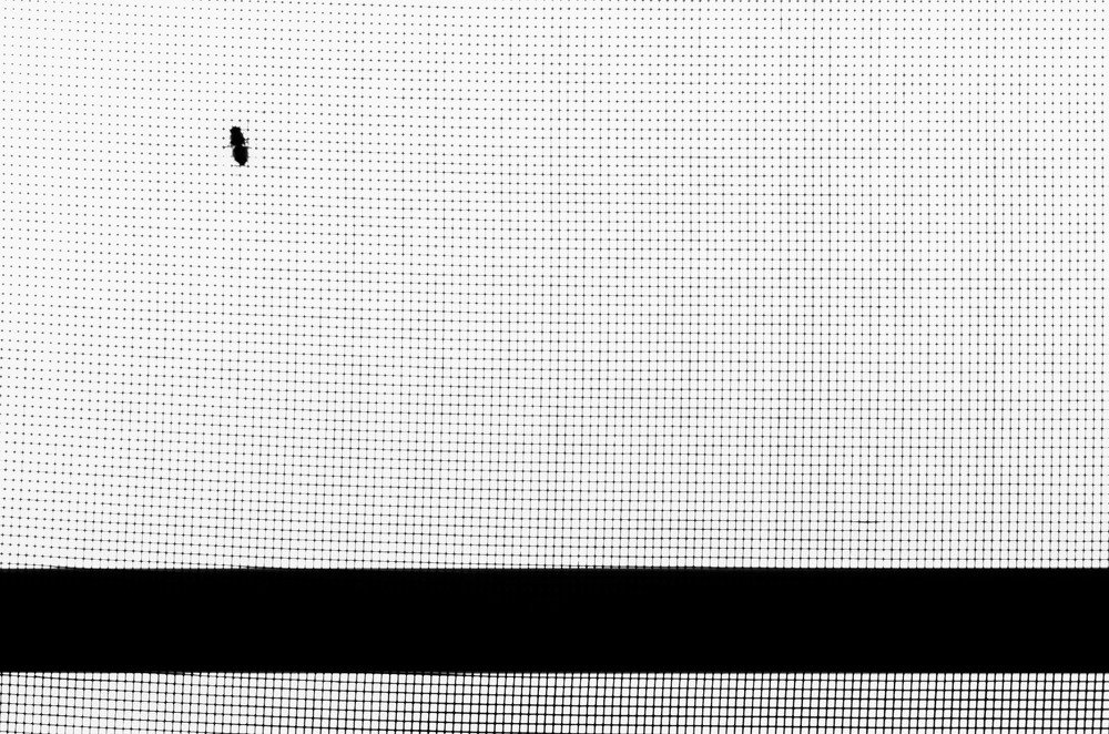 Photograph by Егор Зубанов