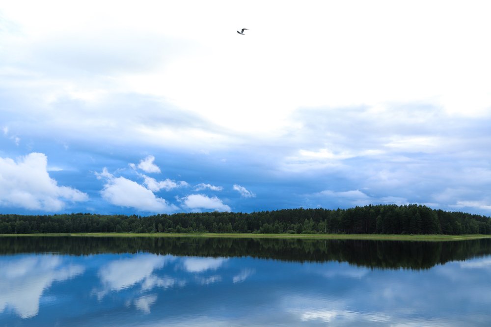 Photograph by Светлана Воскресенская