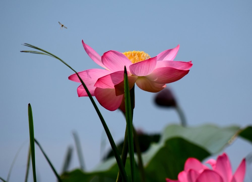 Фотография автора Альбина Хвастунова