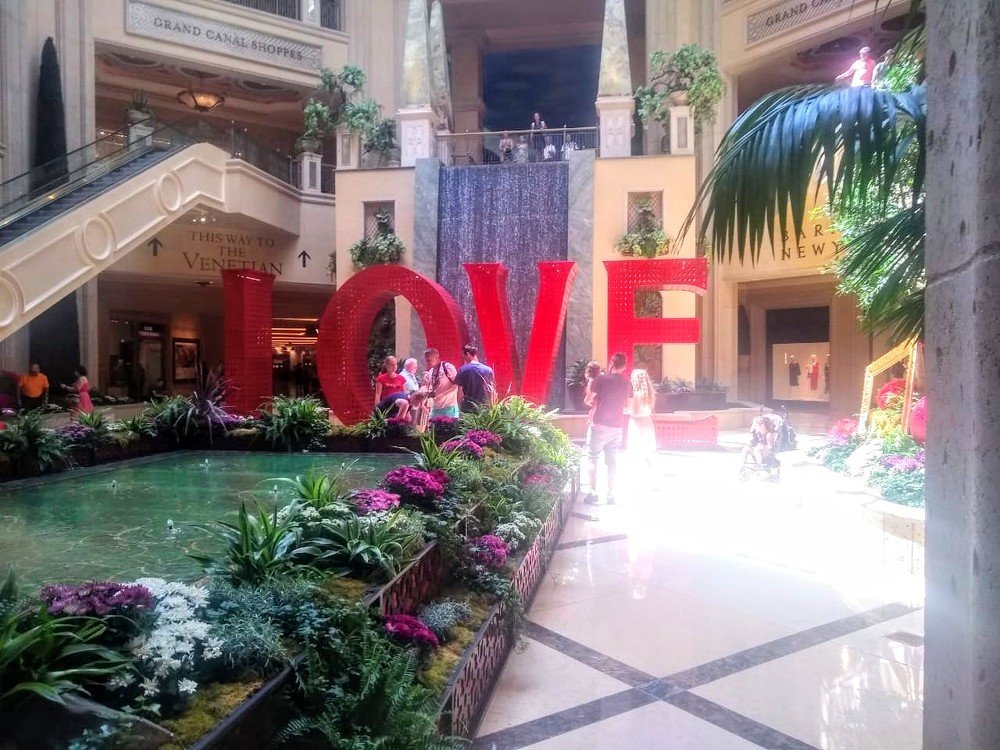 Photograph by Sandra Verónica Bertorello