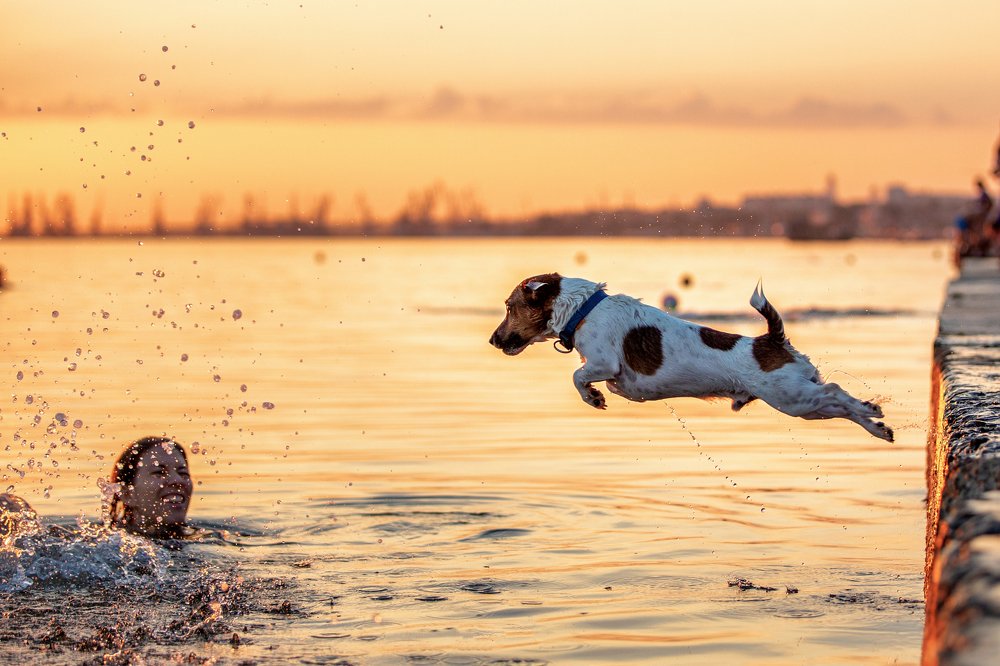 Photograph by Максим