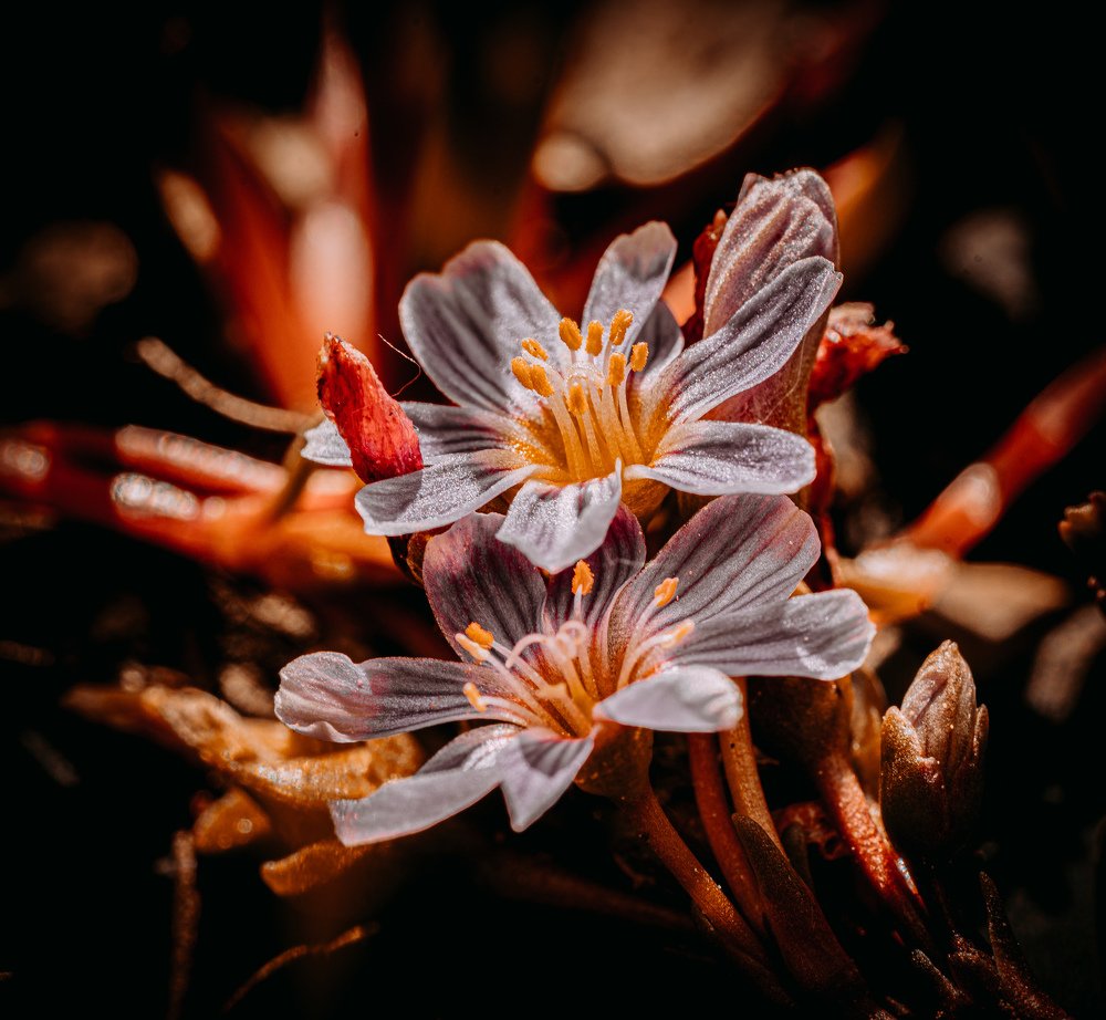 Photograph by Marcin Morawski