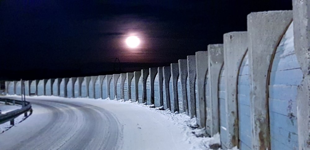 Photograph by Elisabeth Vinther