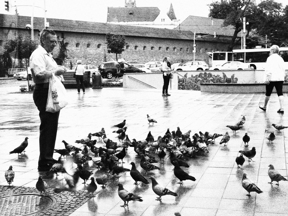 Фотография автора Виталия Латаш