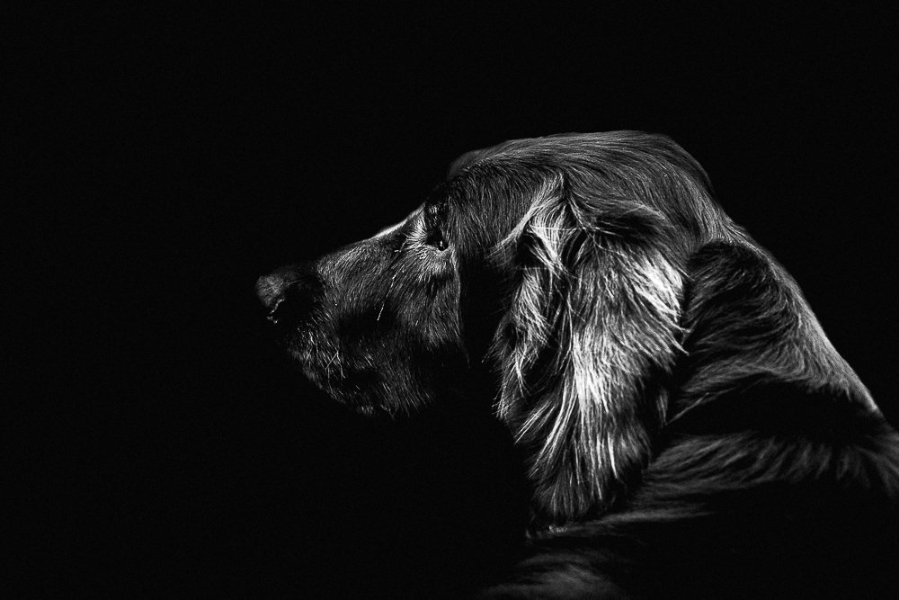 Photograph by Giancarlo Cornoló