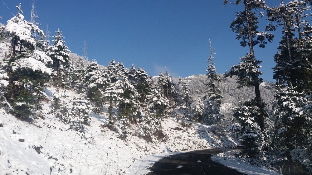 Snow day
