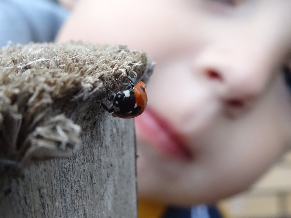 Я познаю  мир