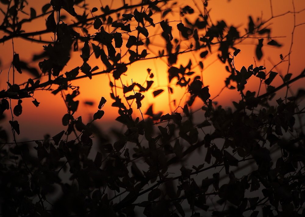 Фотография автора Deny Wahyudi