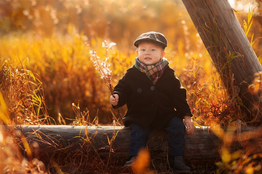 Photograph by Александр Петунин