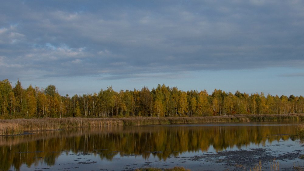 Photograph by Алексей Крукович