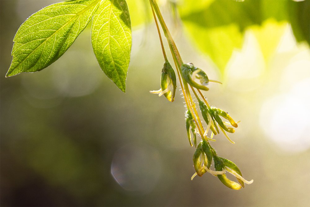 Photograph by Александра Печёнкина