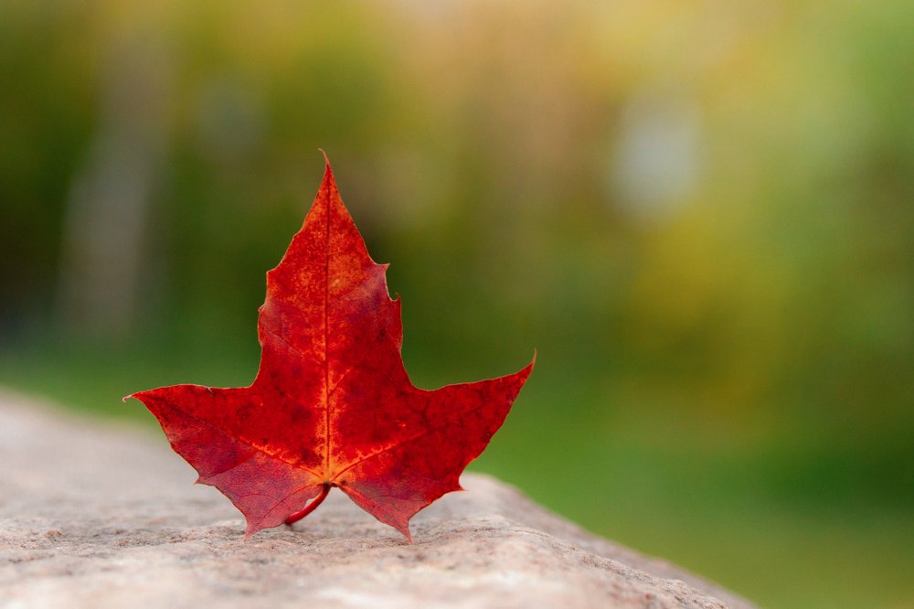 Photograph by Александра Печёнкина