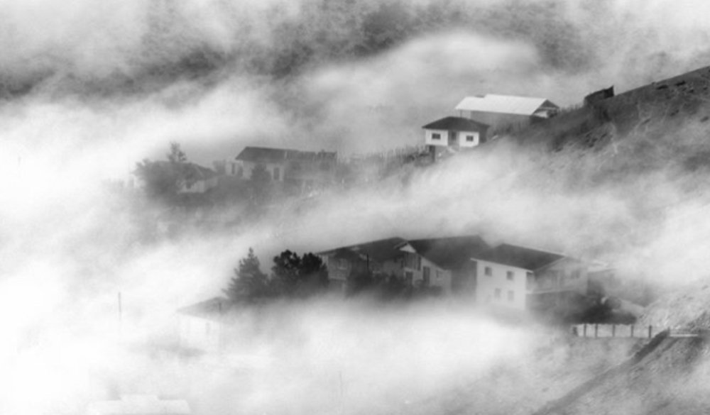 Photograph by Hamid musavi