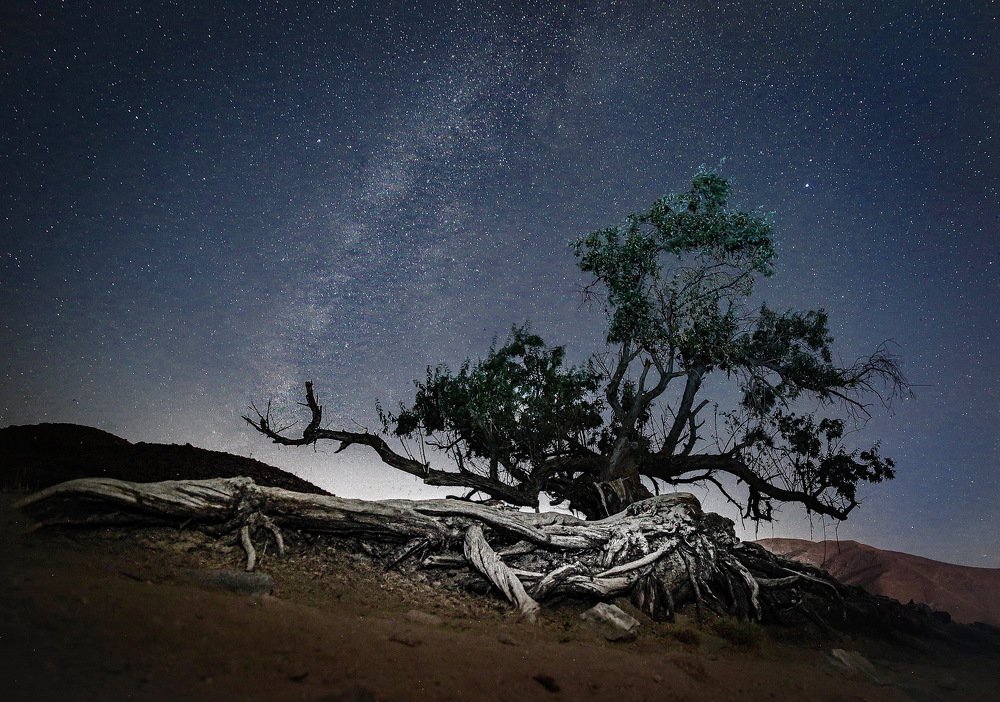 Photograph by Hamid musavi