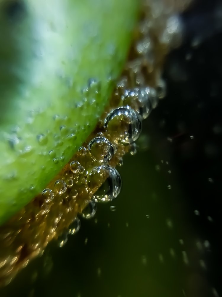 Photograph by Светлана Шибаршина