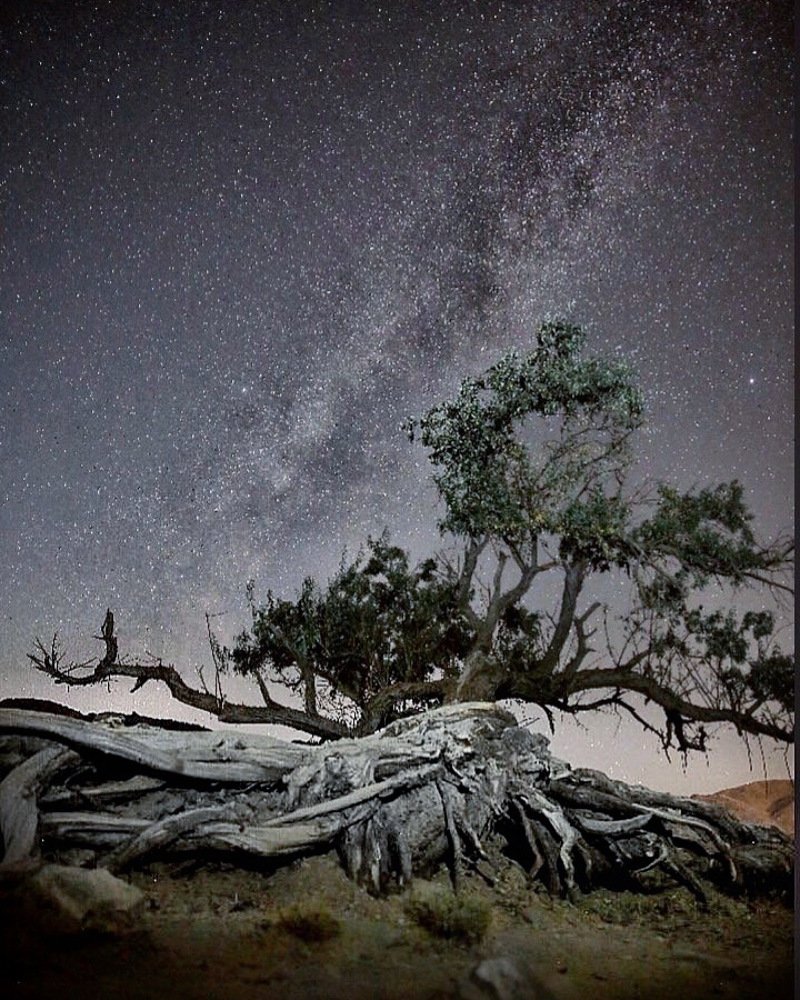 Photograph by Hamid musavi