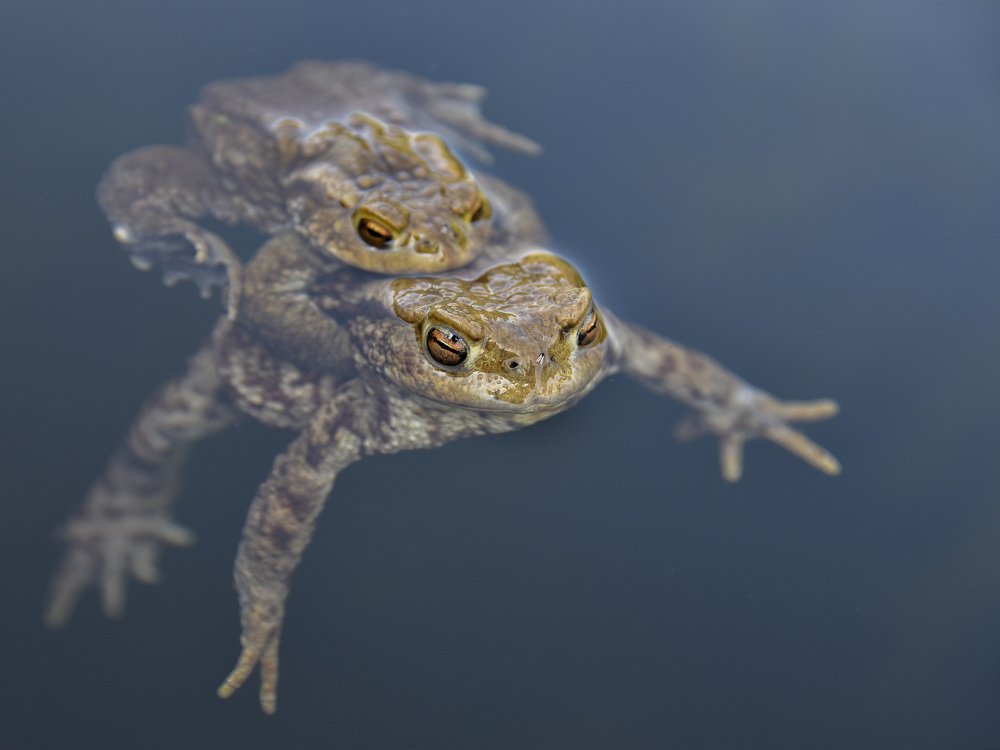 Photograph by bostjan imperl