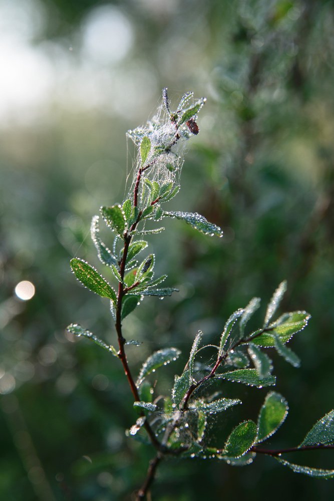 Photograph by Печерских Ксения