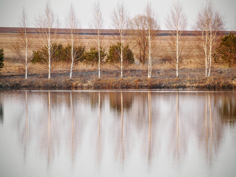 Photograph by Сергей Забиякин