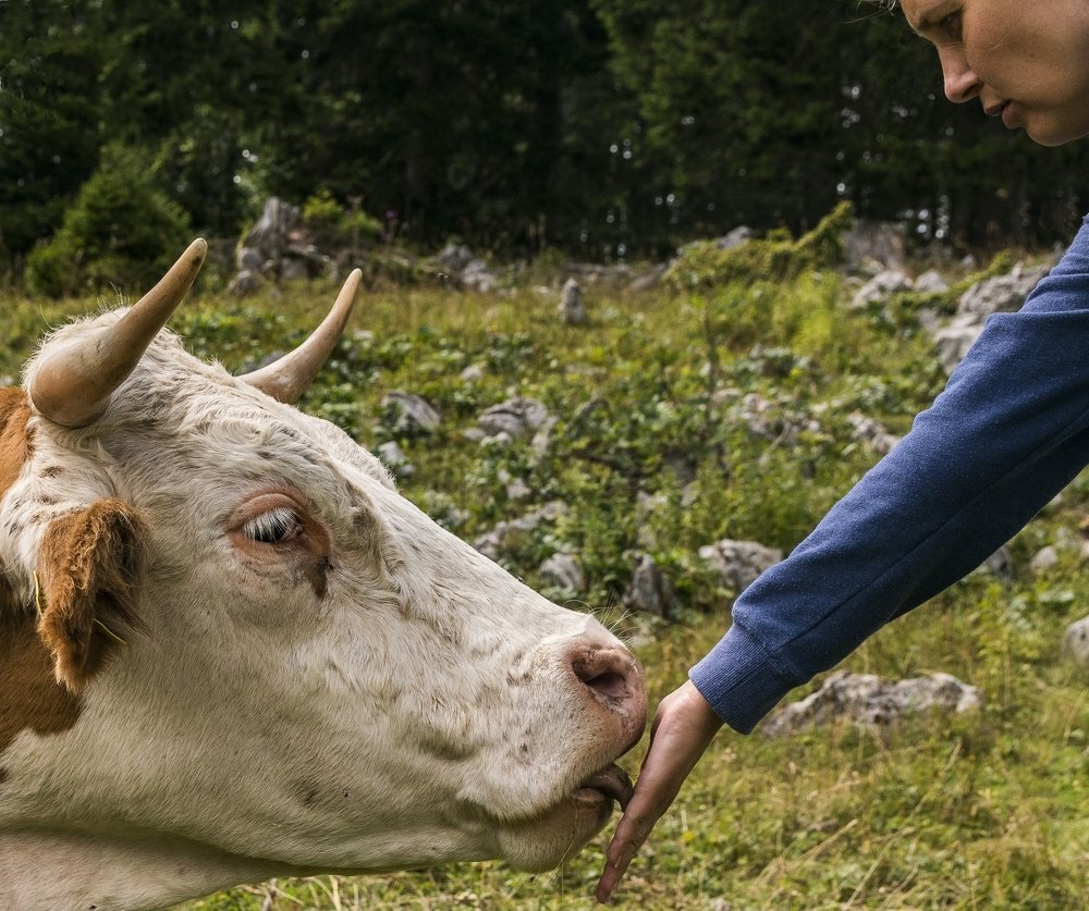 Photograph by bostjan imperl