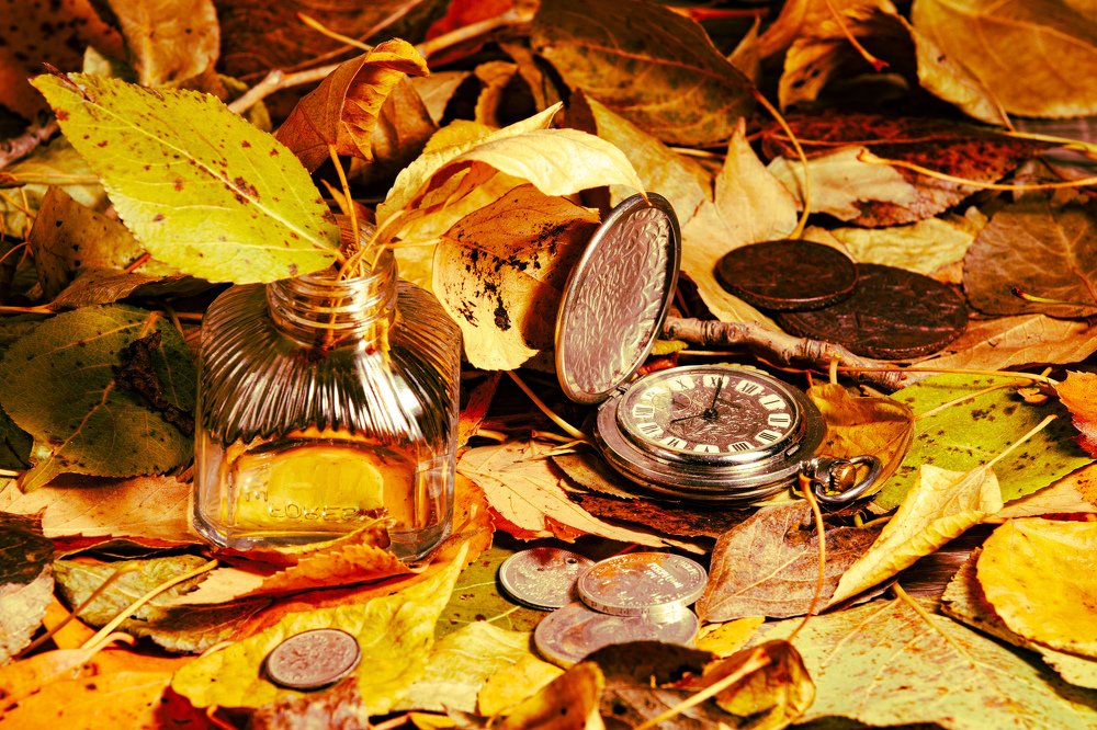 Photograph by Алексанр Приезжев