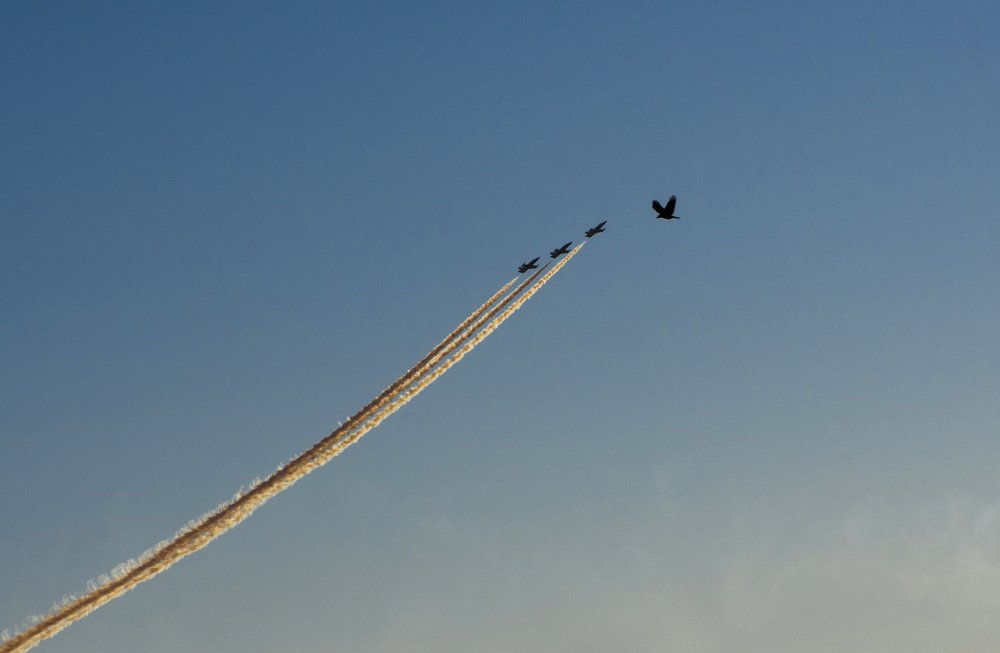 Photograph by Samaneh Beikpoor