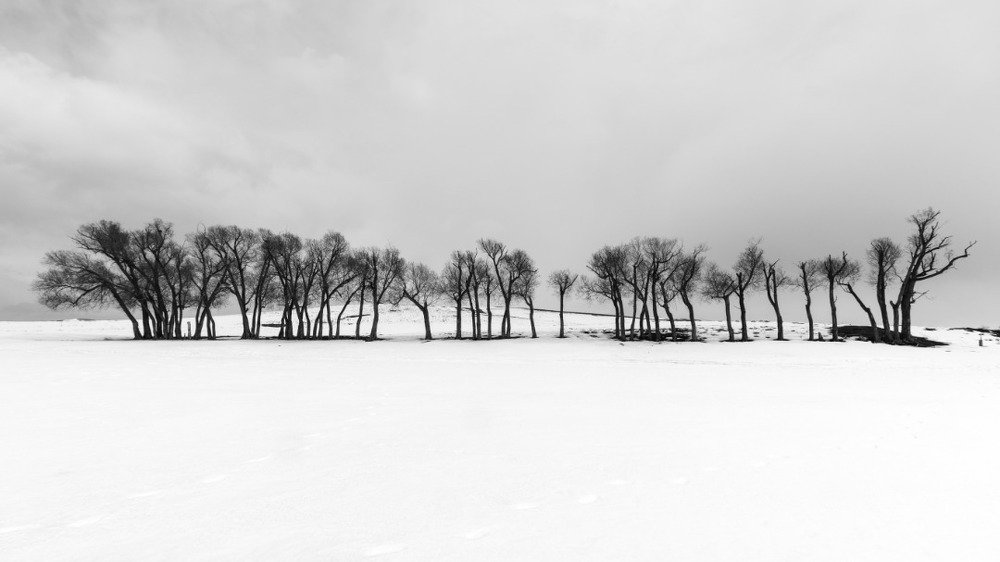 Photograph by amir ali navadeh shahla