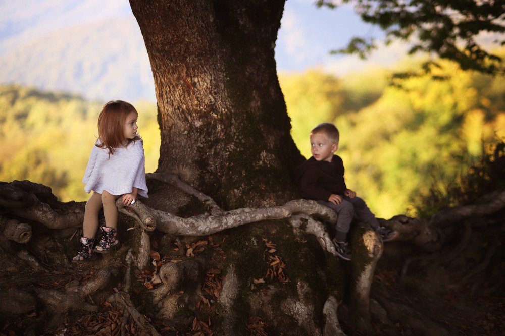 Photograph by Диана Думиника