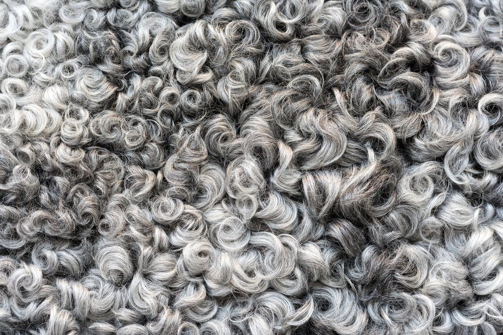 Фотография автора Andrei Hrabun