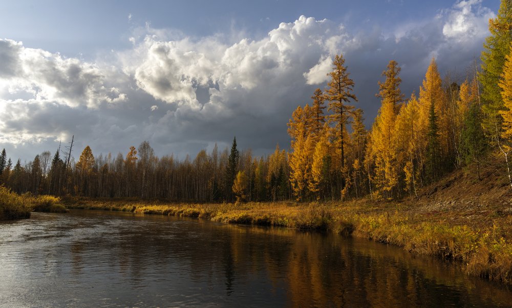 Осень в Сибири