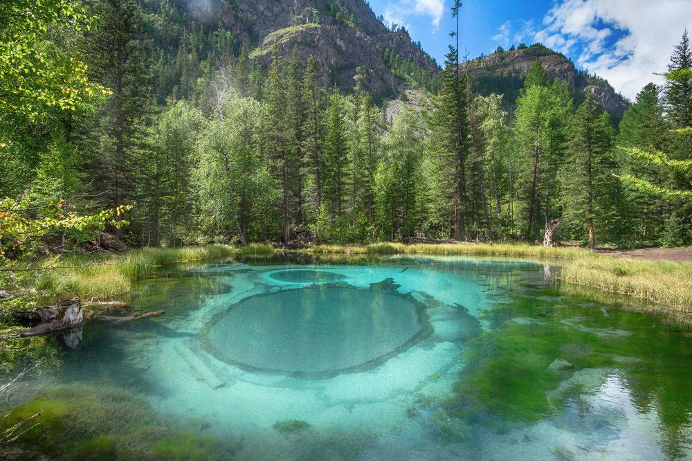 Photograph by Янина Малиновская