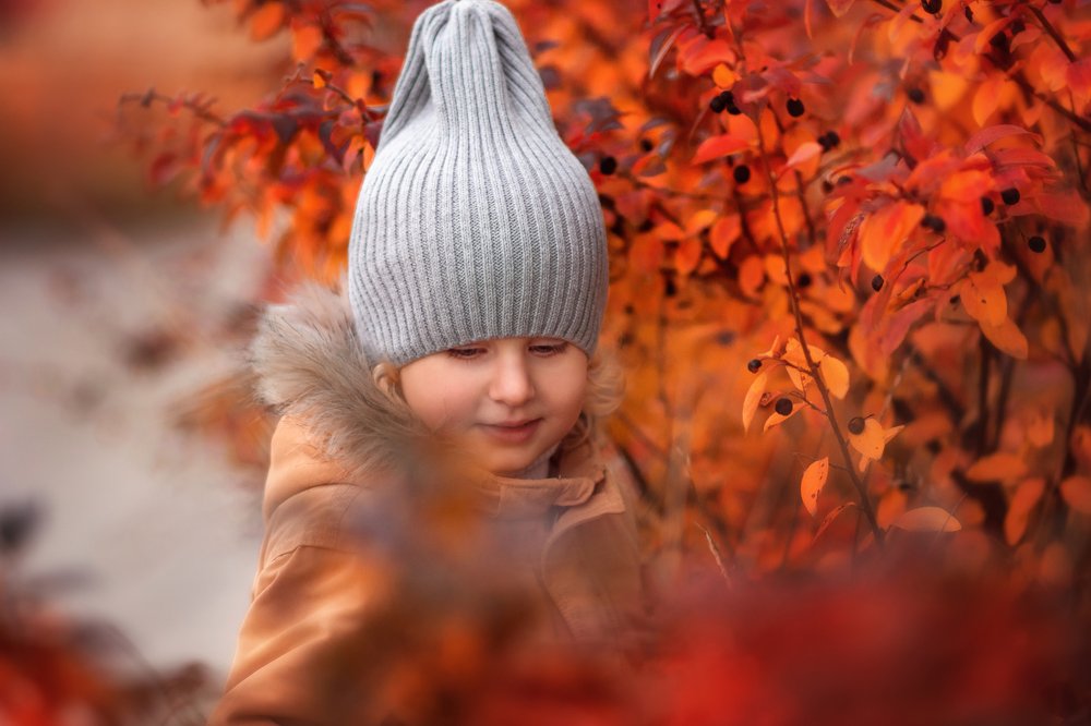 Фотография автора Елена Баклач