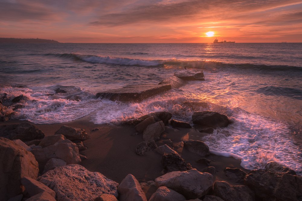 Фотография автора stoyan pavlov