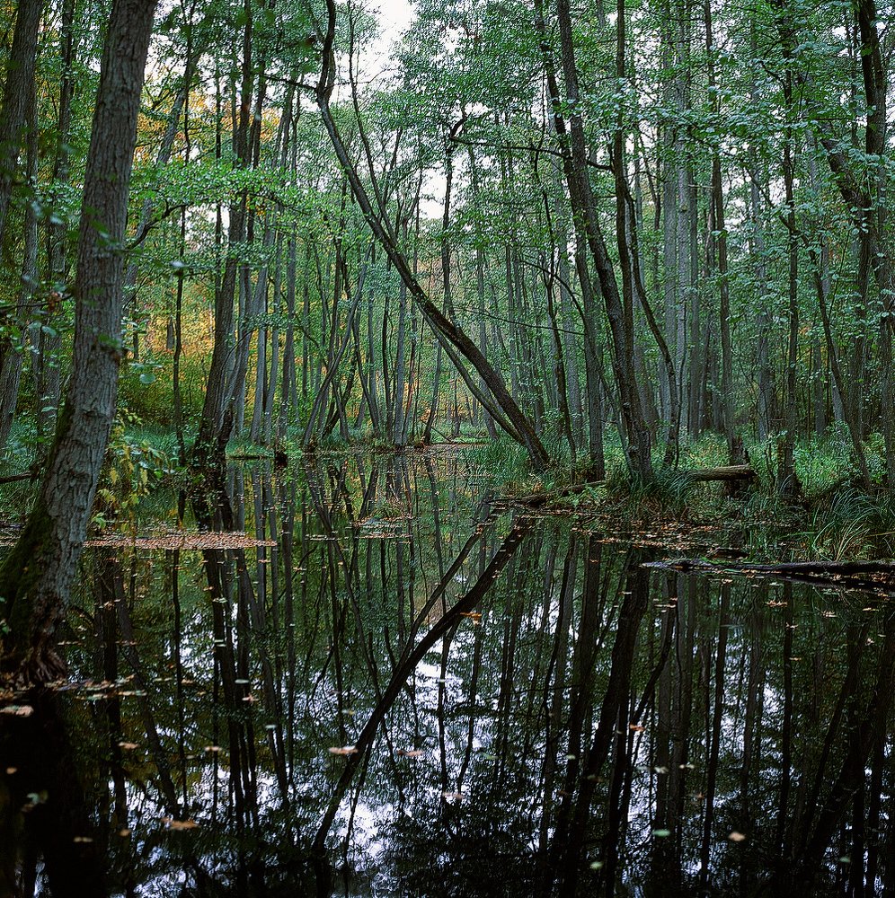 Photograph by Цукерман Михаил