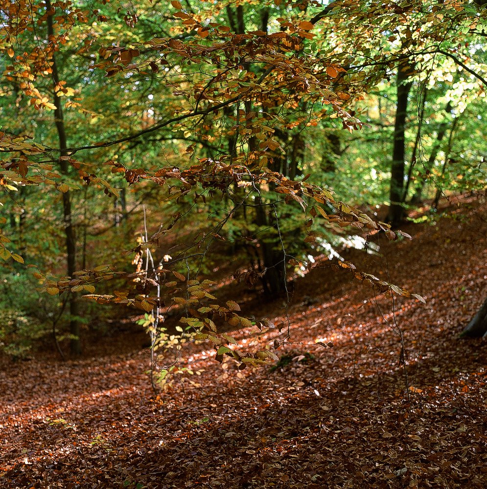 Photograph by Цукерман Михаил