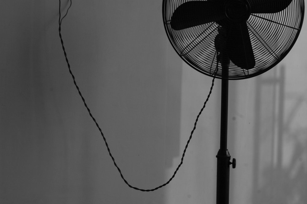 Photograph by Soma Prabhakar