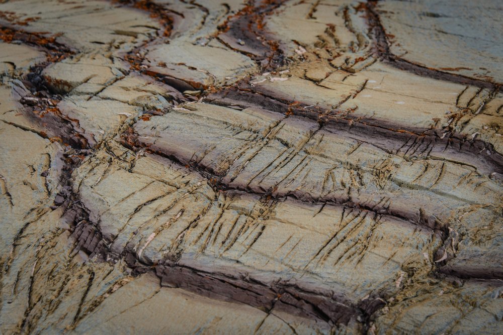 Photograph by Alexey Seafarer