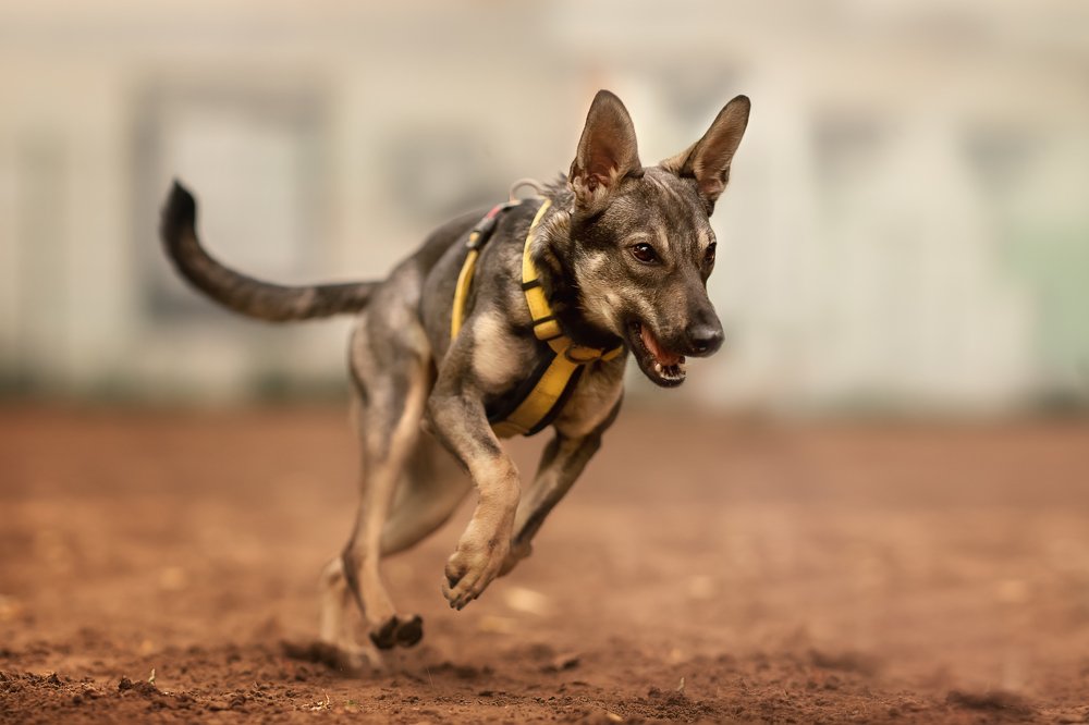 Photograph by Динара