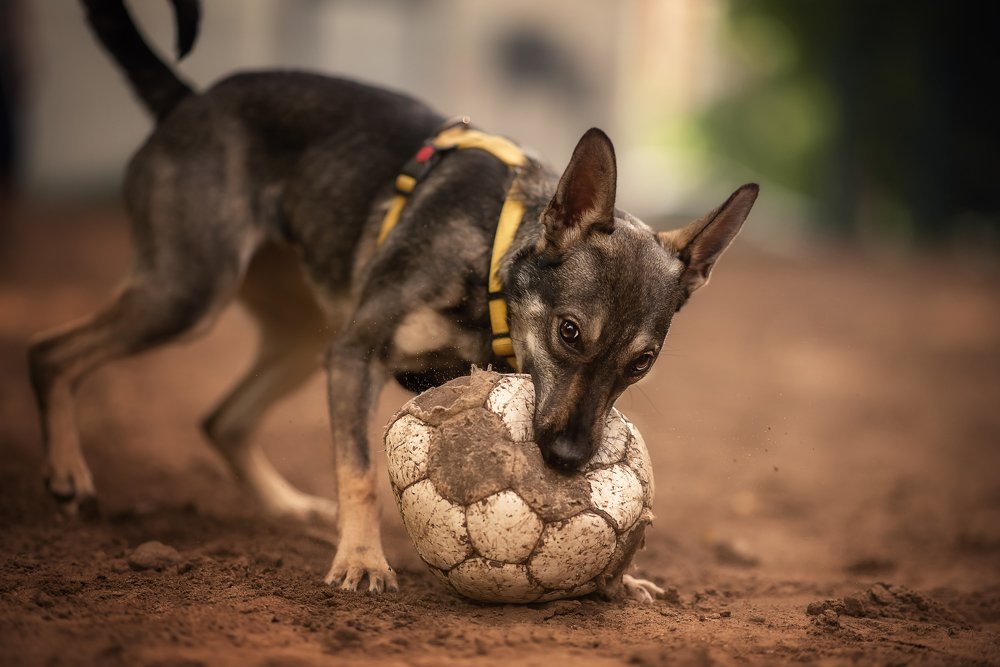 Photograph by Динара