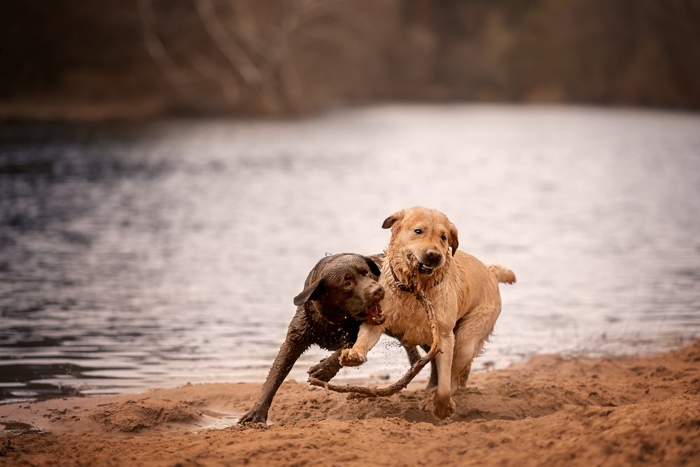 Photograph by Динара