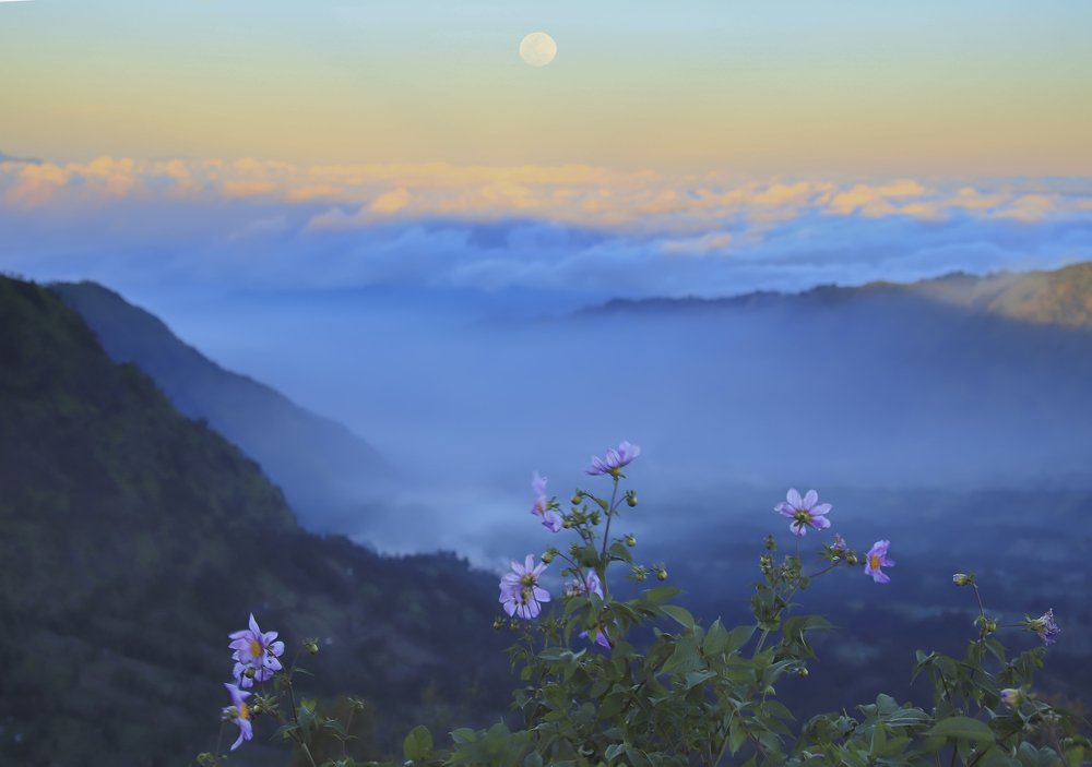 Фотография автора Anil Prabhakar