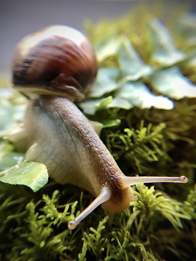 Photograph by Андрей Лежнин