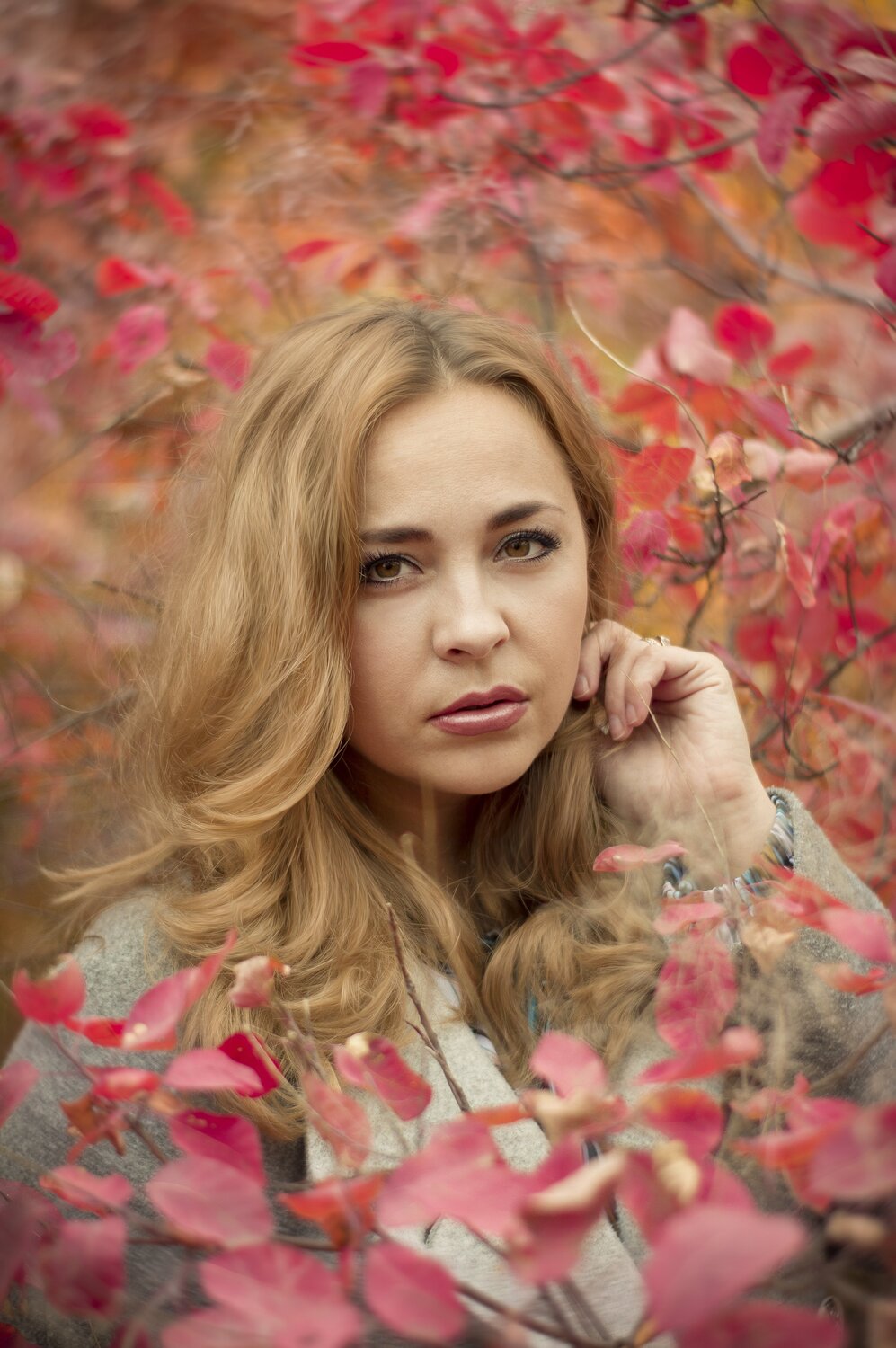 Photo #3732764