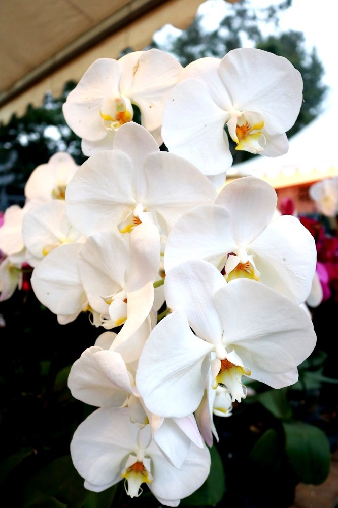 Photograph by Jonna Sabenorio