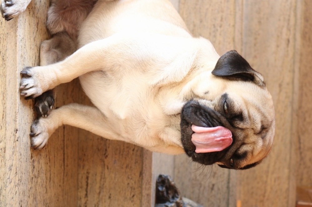 Photograph by Jonna Sabenorio