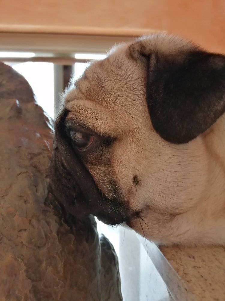 Photograph by Jonna Sabenorio